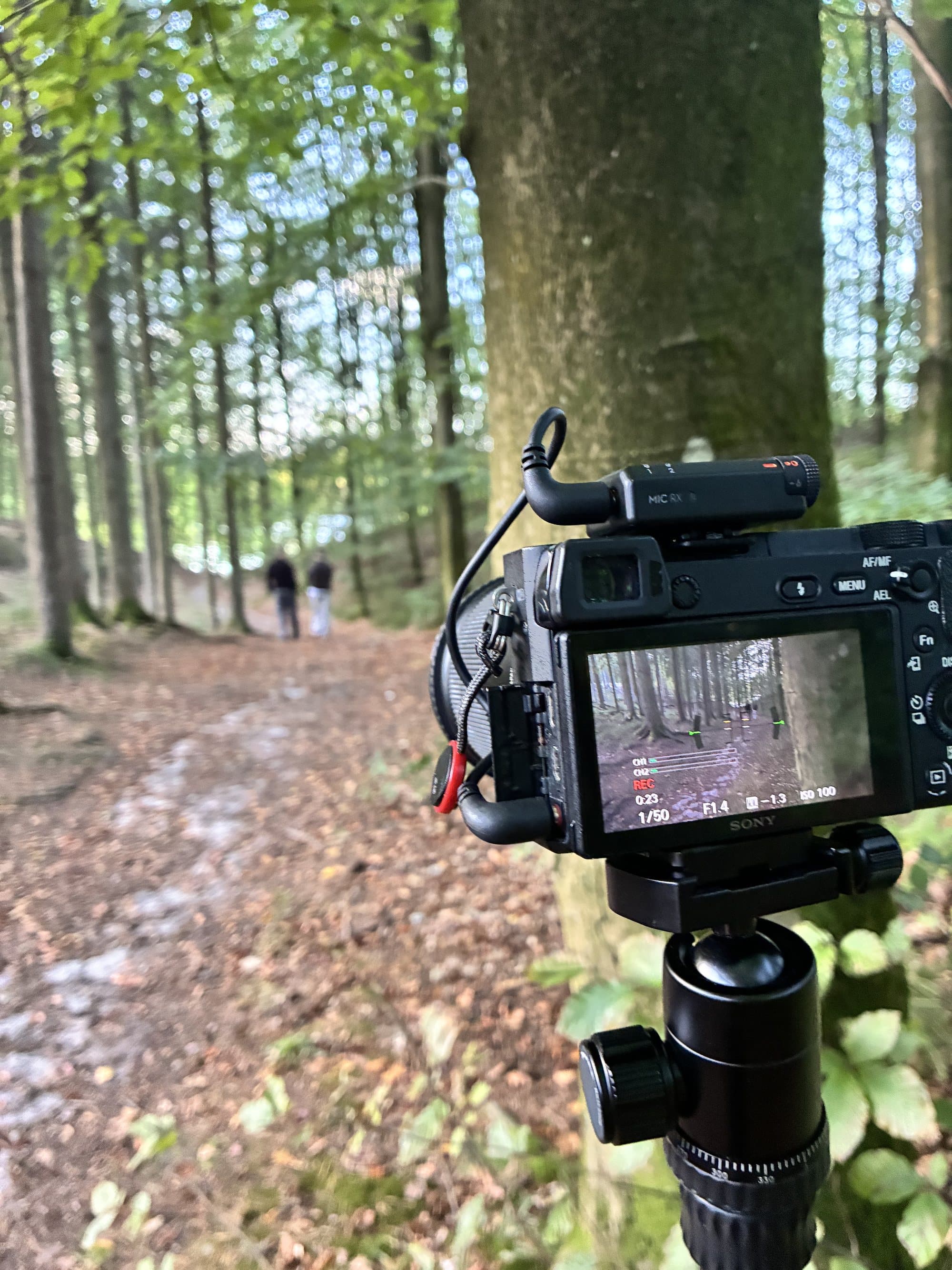 Bag kameraet: et kamera på stativ filmer TWO/TWENTYSIX på en skovsti